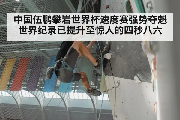 speed climbing competition | kaiyun