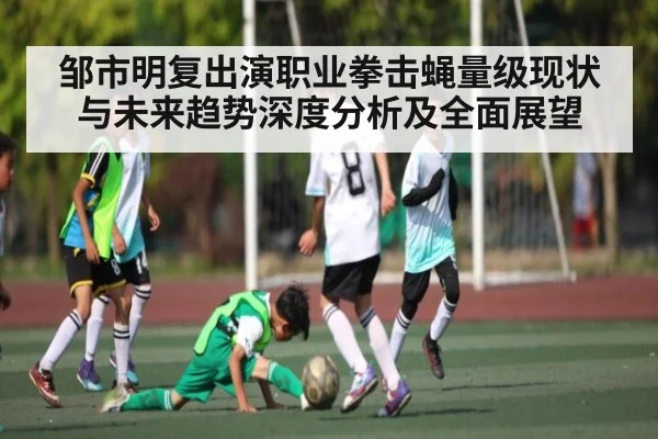邹市明复出演职业拳击蝇量级现状与未来趋势深度分析及全面展望